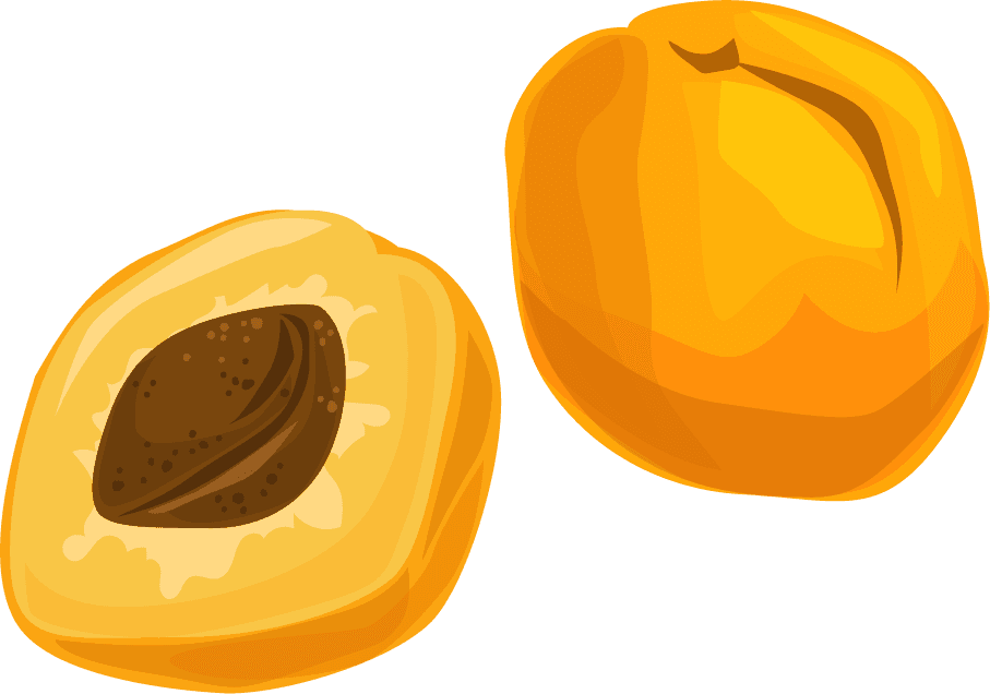 peaches fruits icons colored classic handrrawn sketch