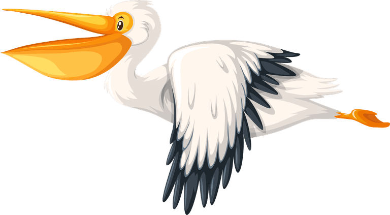 pelican set different birds cartoon style isolated white background