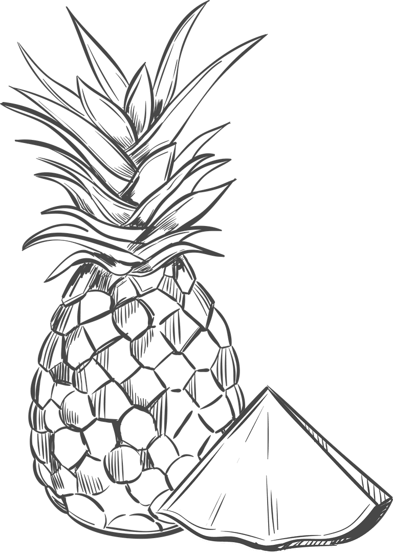 pencil drawing fruit monochrome exotic tropical fruits collection