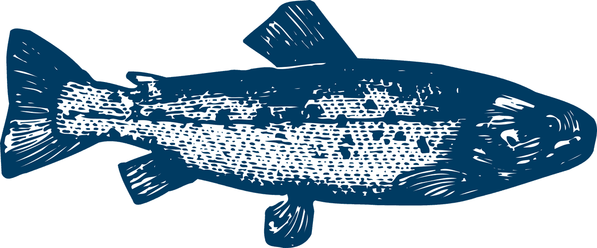 pencil drawn fish poultry animals vector