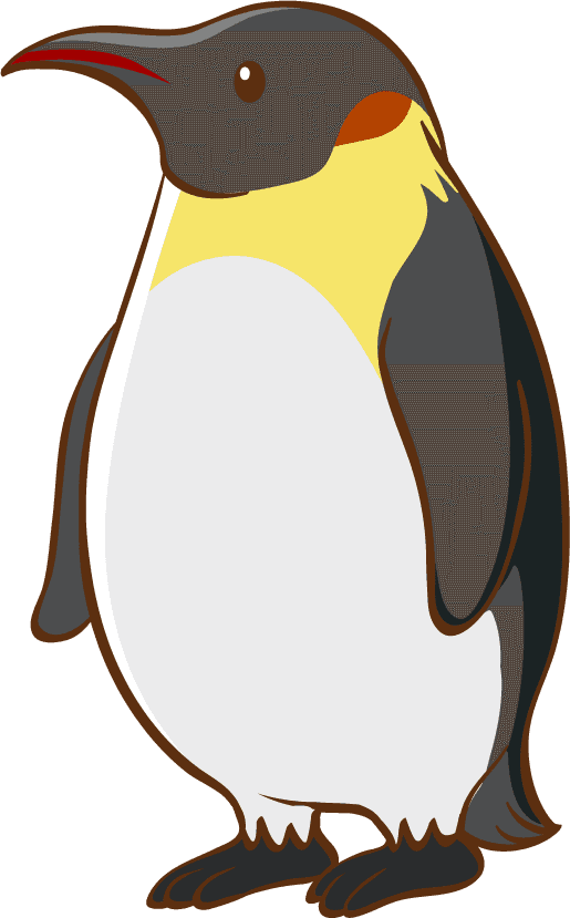 penguin isolated sea creatures