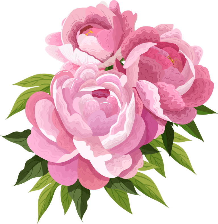 peonies petals icons pink blooming 