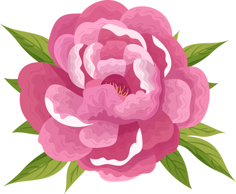 peonies petals icons pink blooming for wedding invitations and floral decorations