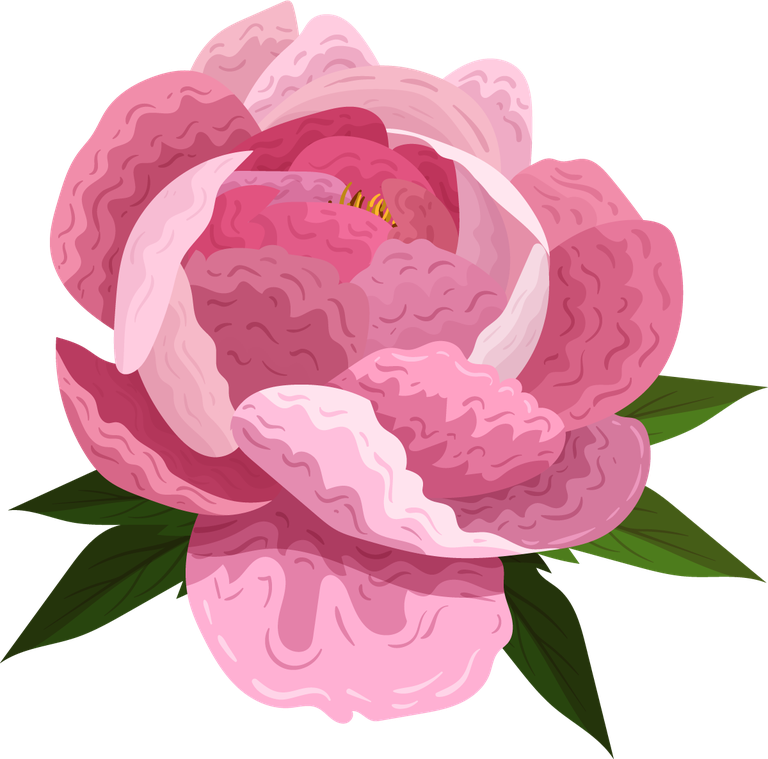 peonies petals icons pink blooming 