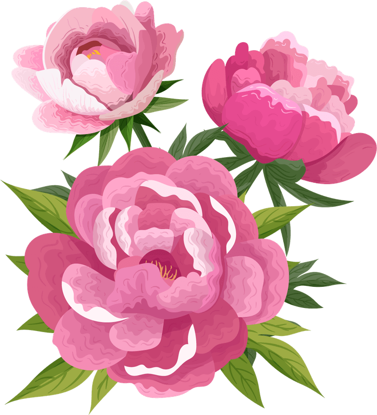 peonies petals icons pink blooming 