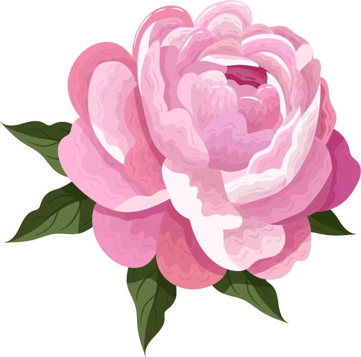 peonies petals icons pink blooming for spring invitations and floral decorations