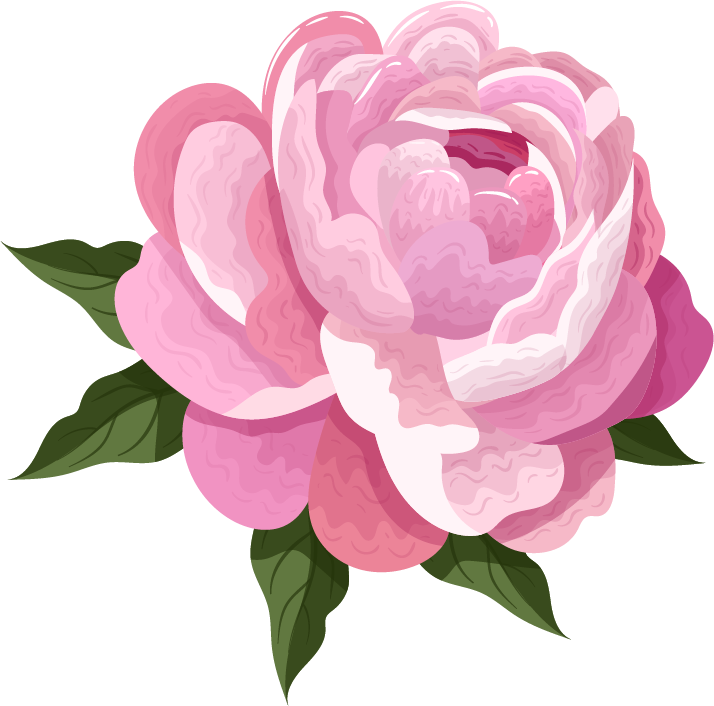 peonies petals icons pink blooming for spring invitations and floral decorations