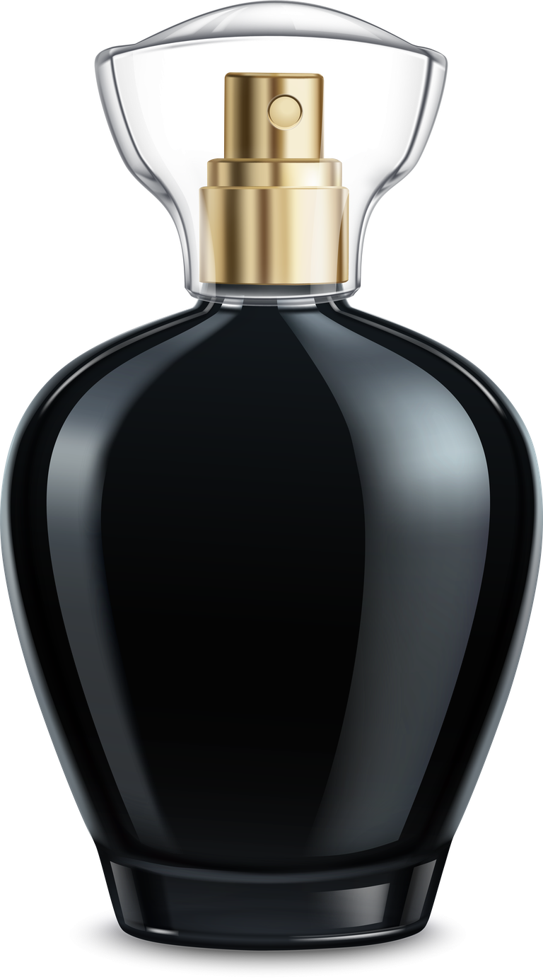 elegant perfume perfume colored glass bottles for luxurious fragrance display and gifting