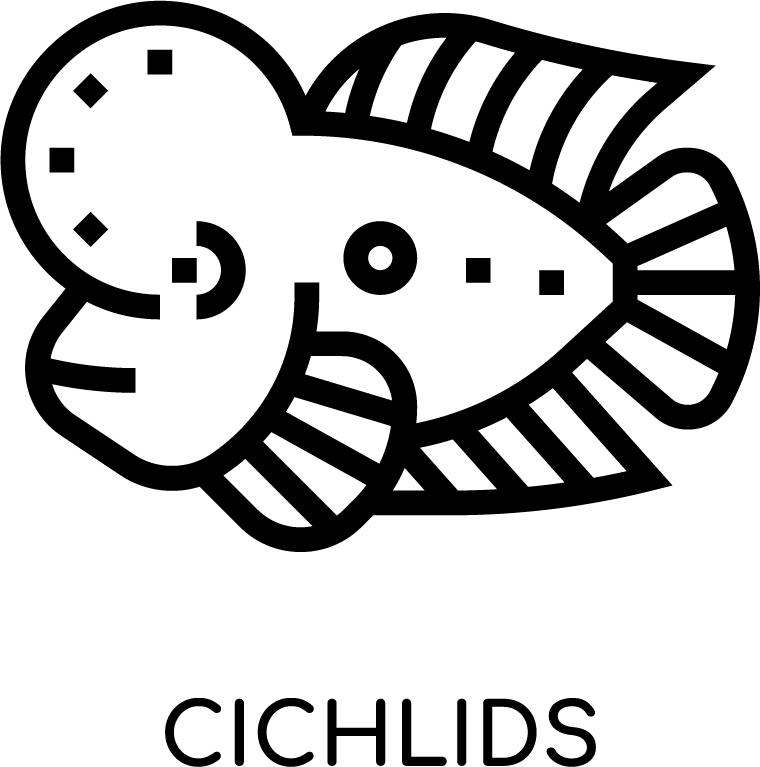 pet shop thin line and pixel perfect icons