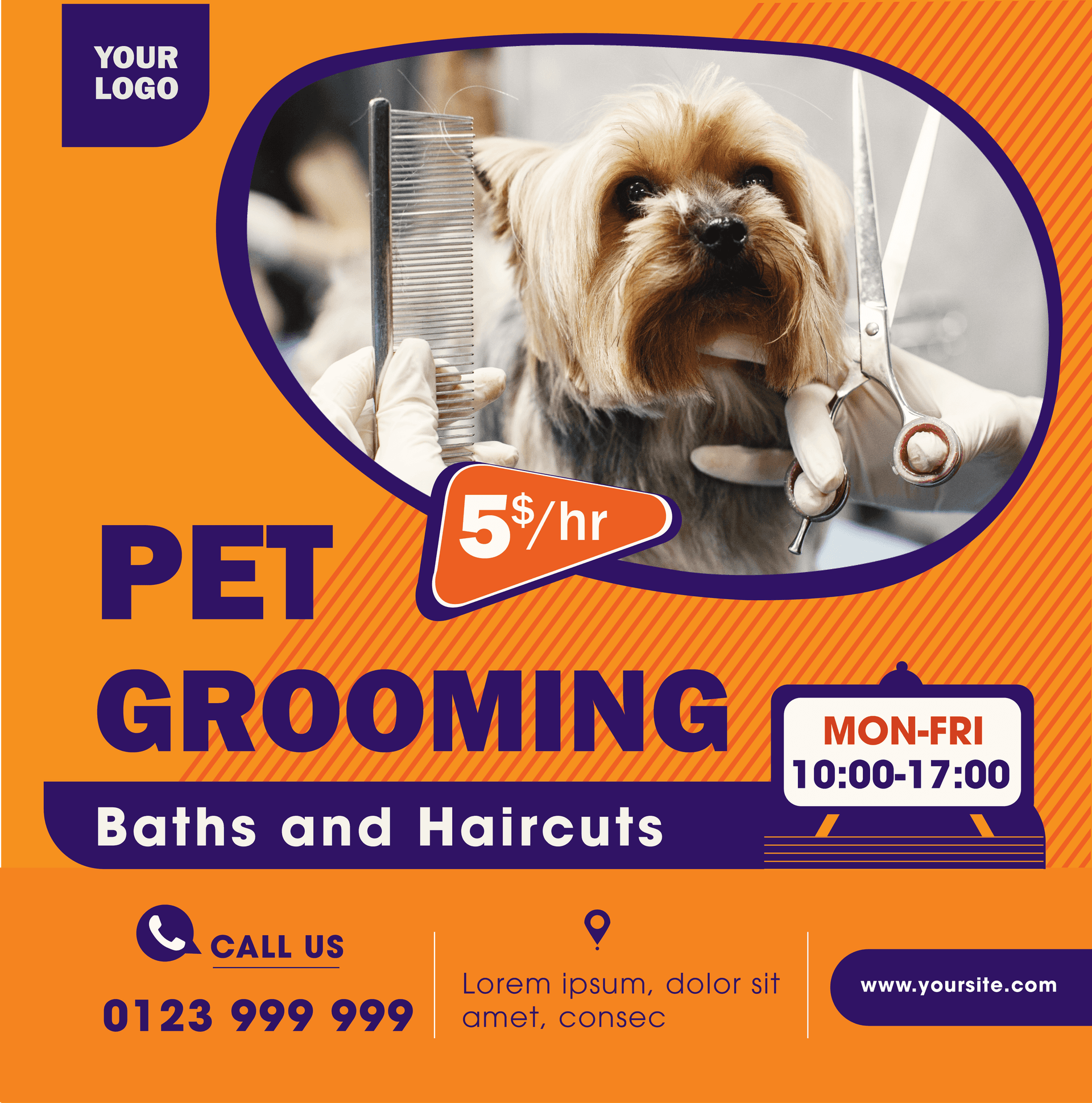 modern pet care and product templates with vibrant colors and professional layouts for versatile use