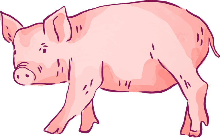 pig farm animal collectio
