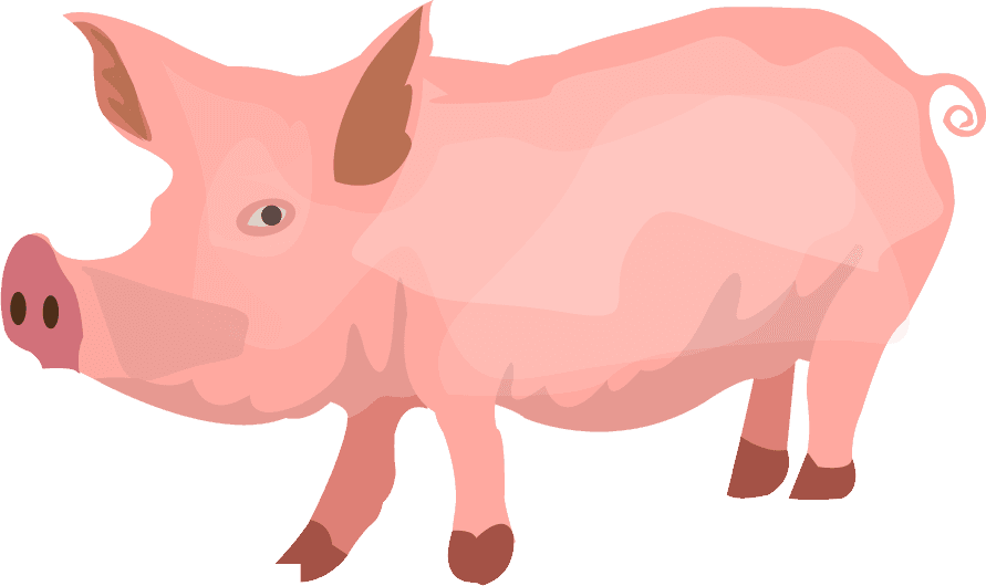 pig farming animals illustration with various types