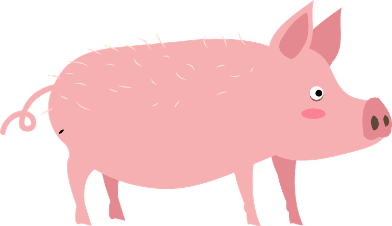 pig pig icons collection cute pink 