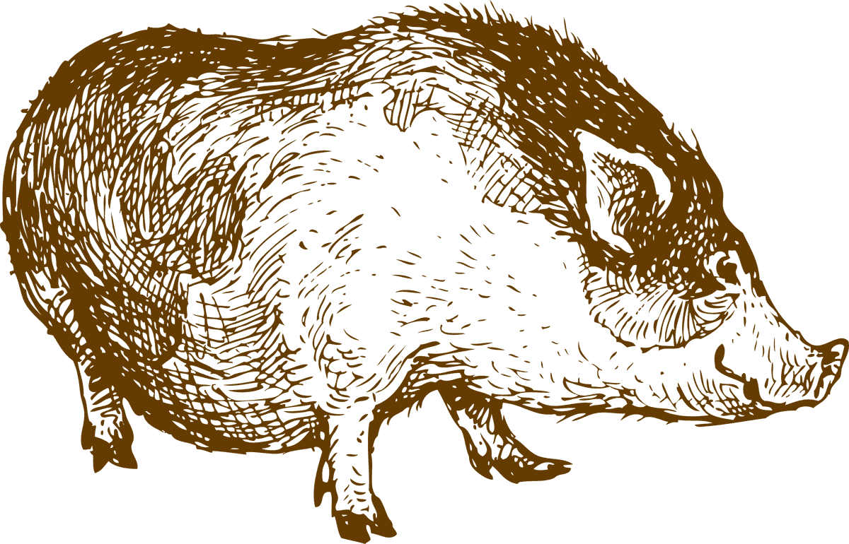 pig line art animal lamb horse