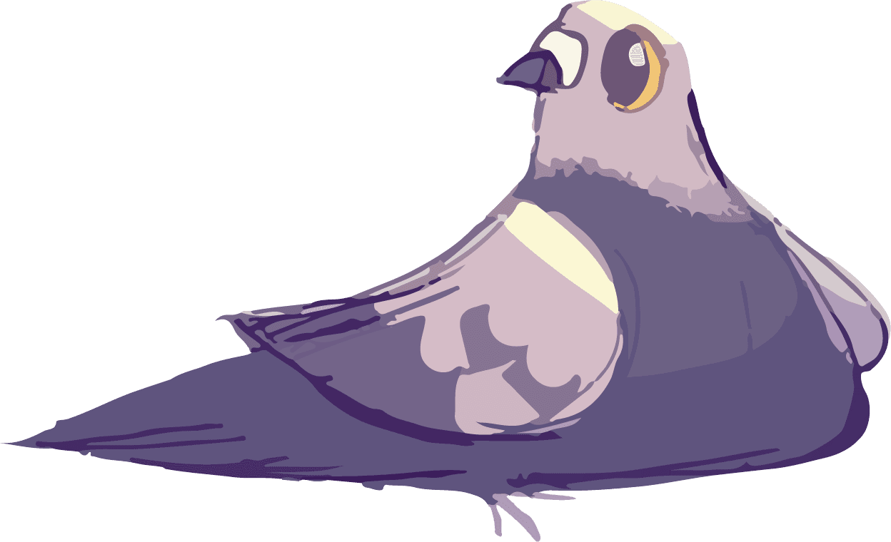 pigeon beautiful happy