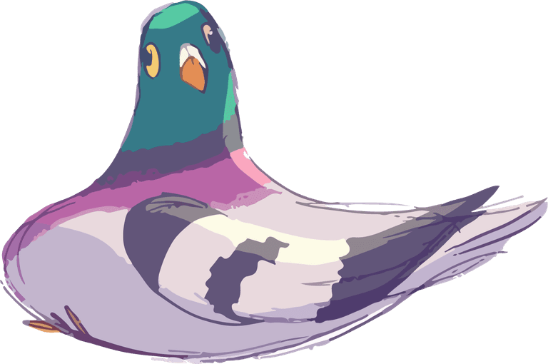 pigeon beautiful happy