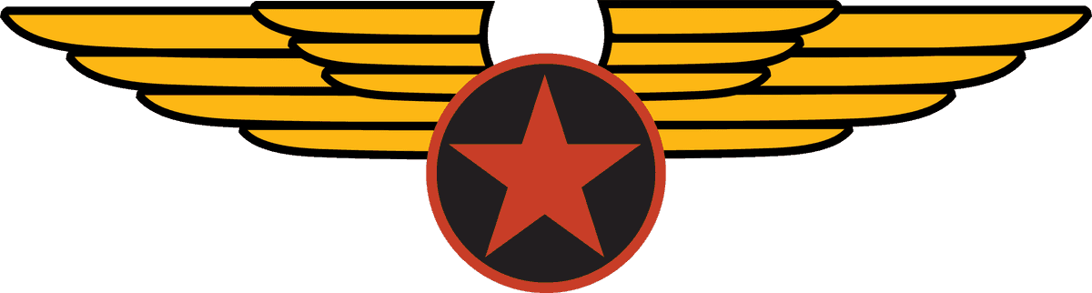 pilot badge nostalgic flight badge with vintage wings and star emblem for aviation enthusiasts