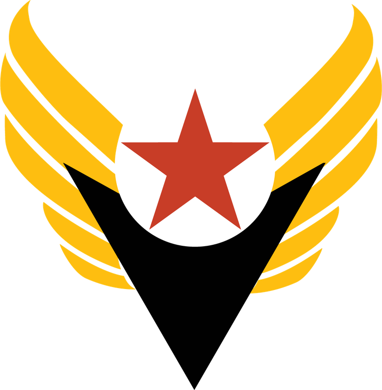 pilot badge nostalgic flight badge with wings and star symbol for aviation enthusiasts
