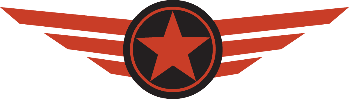 vintage pilot badge nostalgic flight badge with star and wing accents