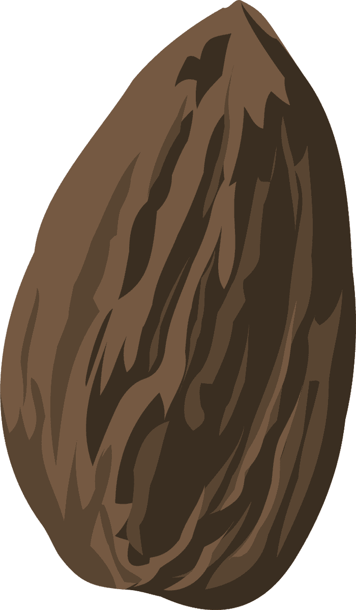 pine elements leaf seed flower sketch