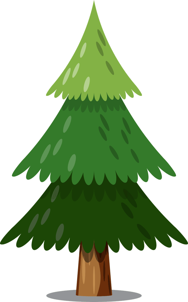 pine tree christmas tree isolated with lightbulb stars and