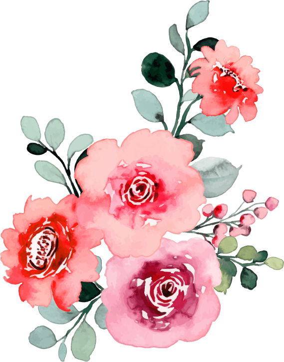 pink rose flower bouquet collection with watercolor
