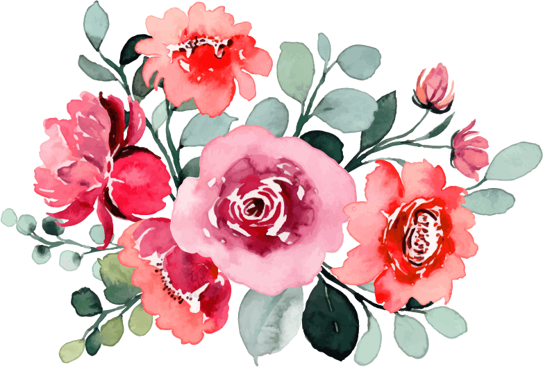 pink rose flower bouquet collection with watercolor