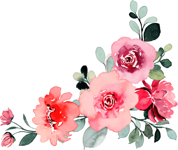 pink rose flower bouquet collection with watercolor