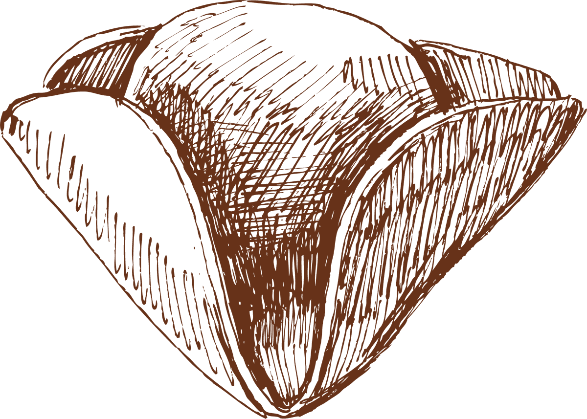 pirate hat pirate skull line art