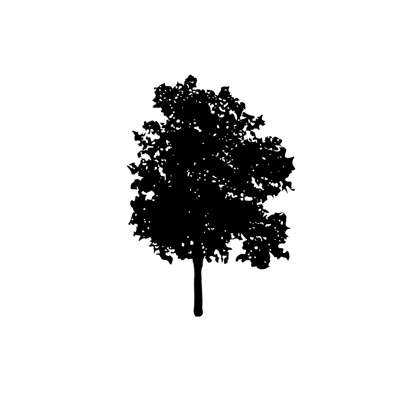 large foliage plant and tree silhouette