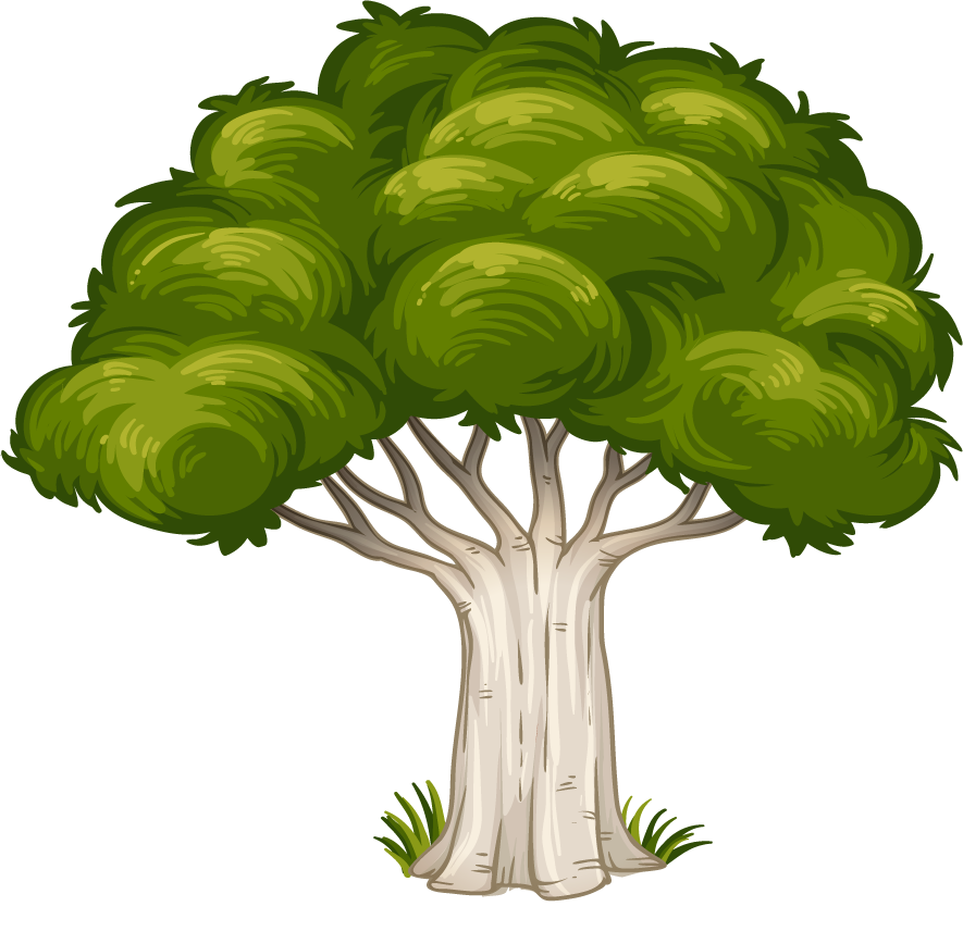 plant tree with its silhouette showcasing vibrant foliage and a sturdy trunk for nature themes