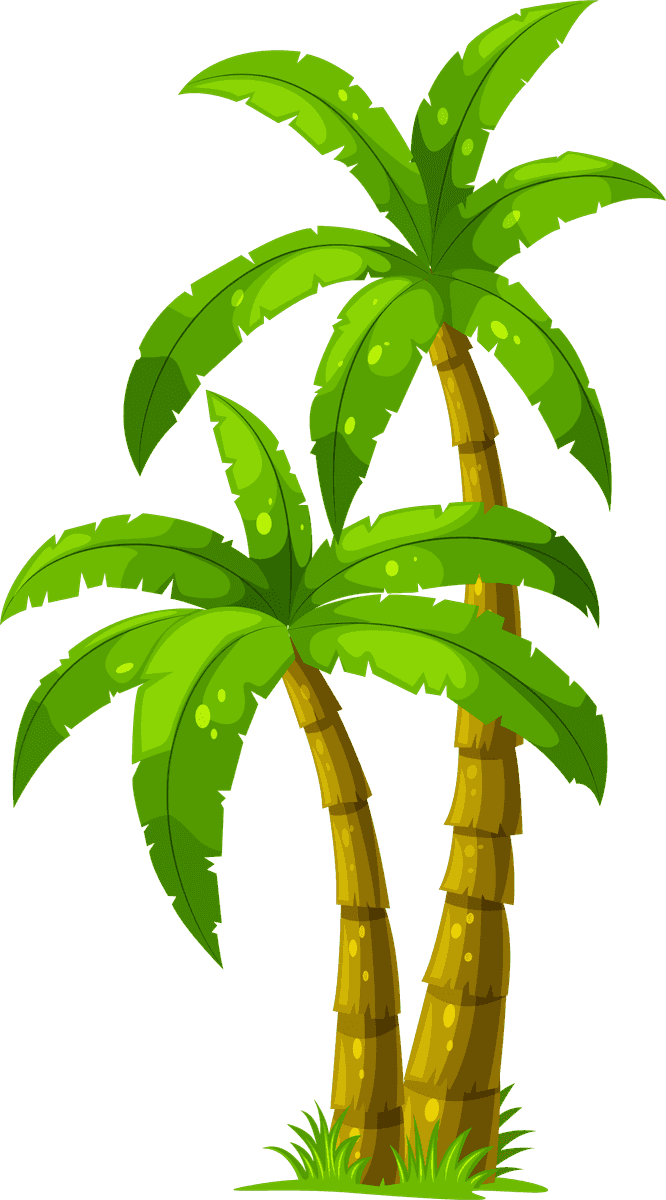 plant tree with its silhouette in a tropical setting perfect for summer themes