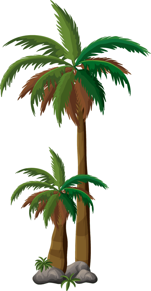 plant tree with its silhouette showcasing lush palm trees and vibrant foliage