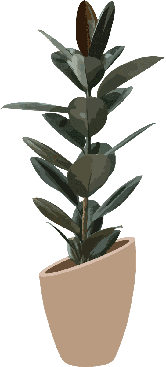 stylish plant art houseplant flower pots for modern indoor decor and aesthetics