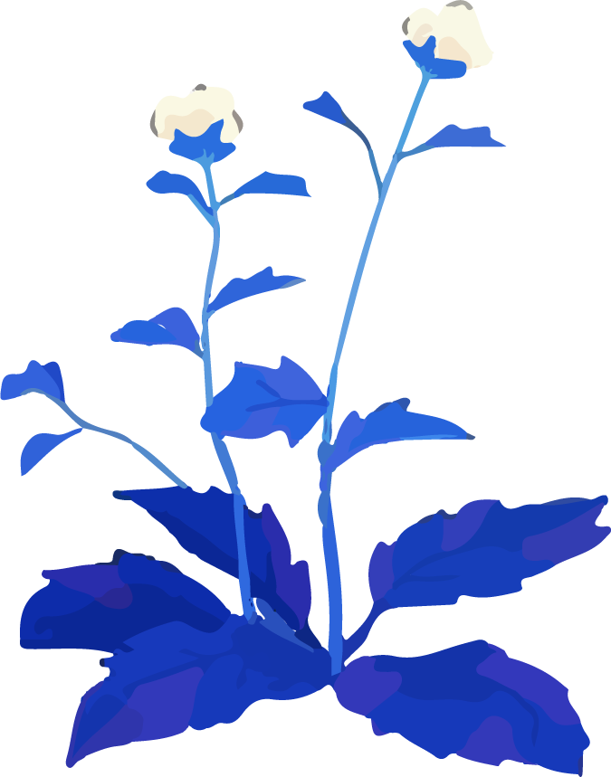 plant watercolor art cover with vibrant blue hues for creative projects or packaging