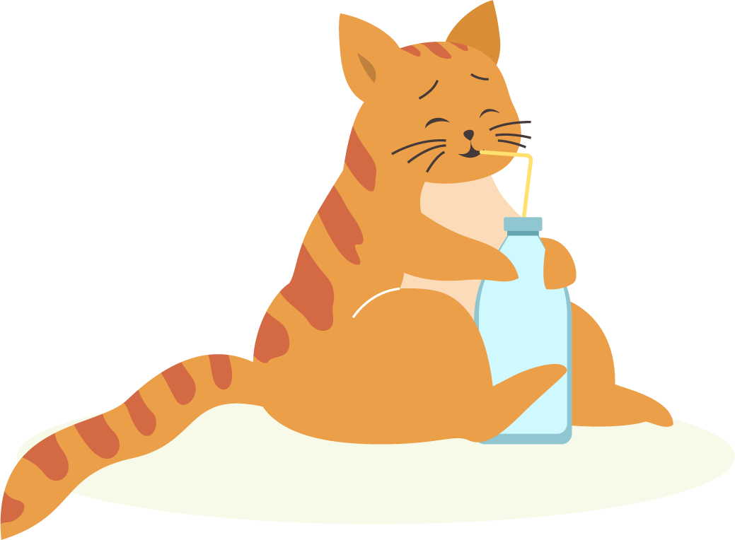 playful gray orange cats enjoying a refreshing drink on a cozy day