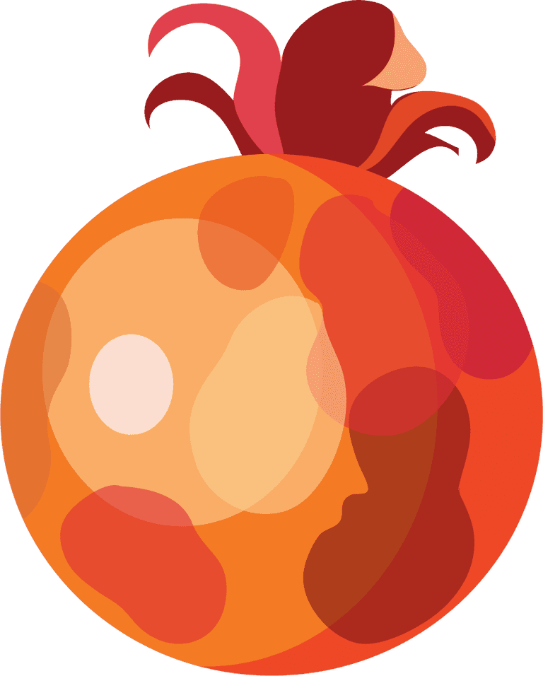 pomegranate autumn elements classical nature elements sketch