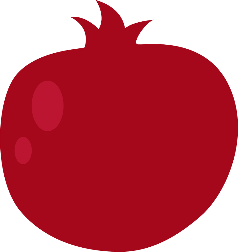 pomegranate icons collection red flat style perfect for food and health applications