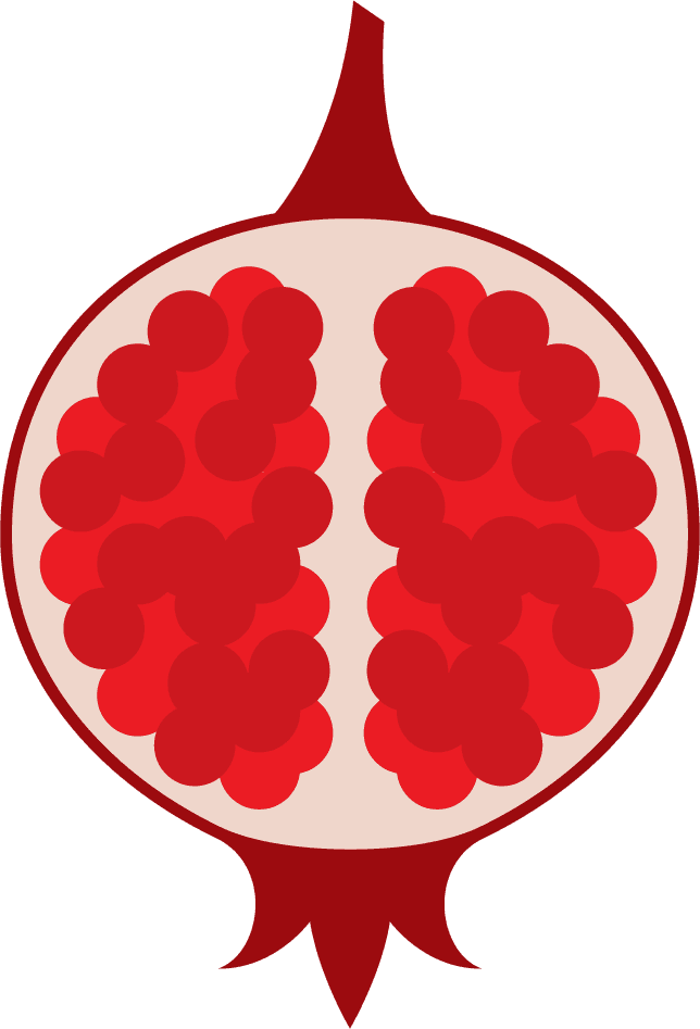 pomegranate icons collection red flat 