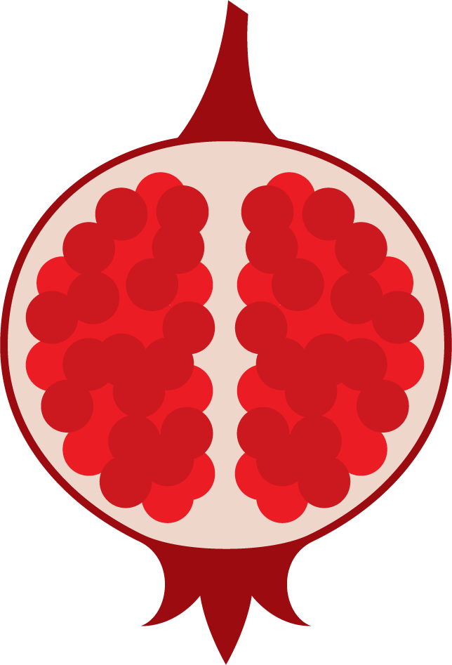 pomegranate icons collection red flat images for healthy lifestyle and culinary uses