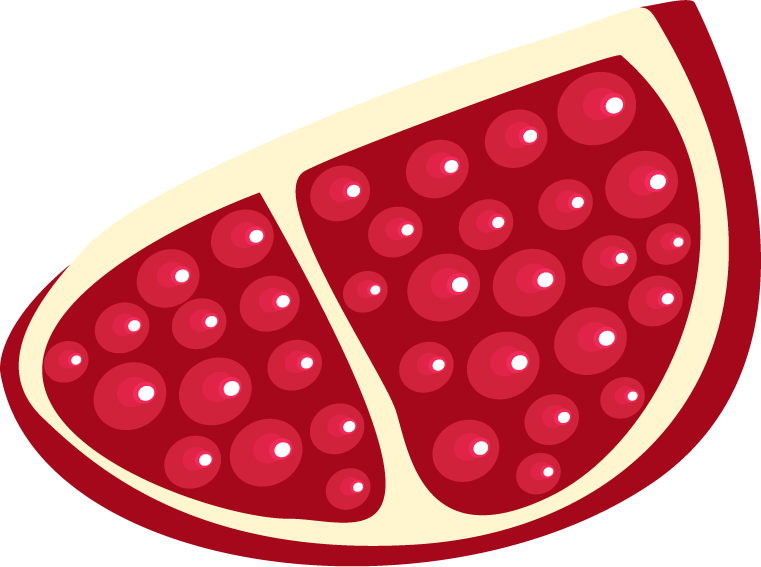 pomegranate icons collection red flat style for healthy food and nutrition projects
