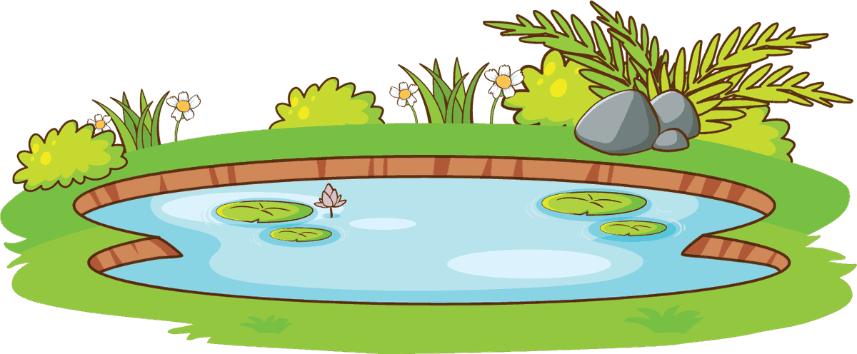 pond set various animals objects for playful nature-themed illustrations and activities