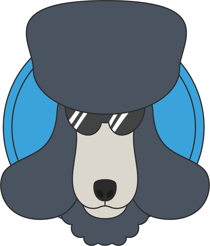 poodle dog cute draw beautiful fun and stylish illustration for pet lovers