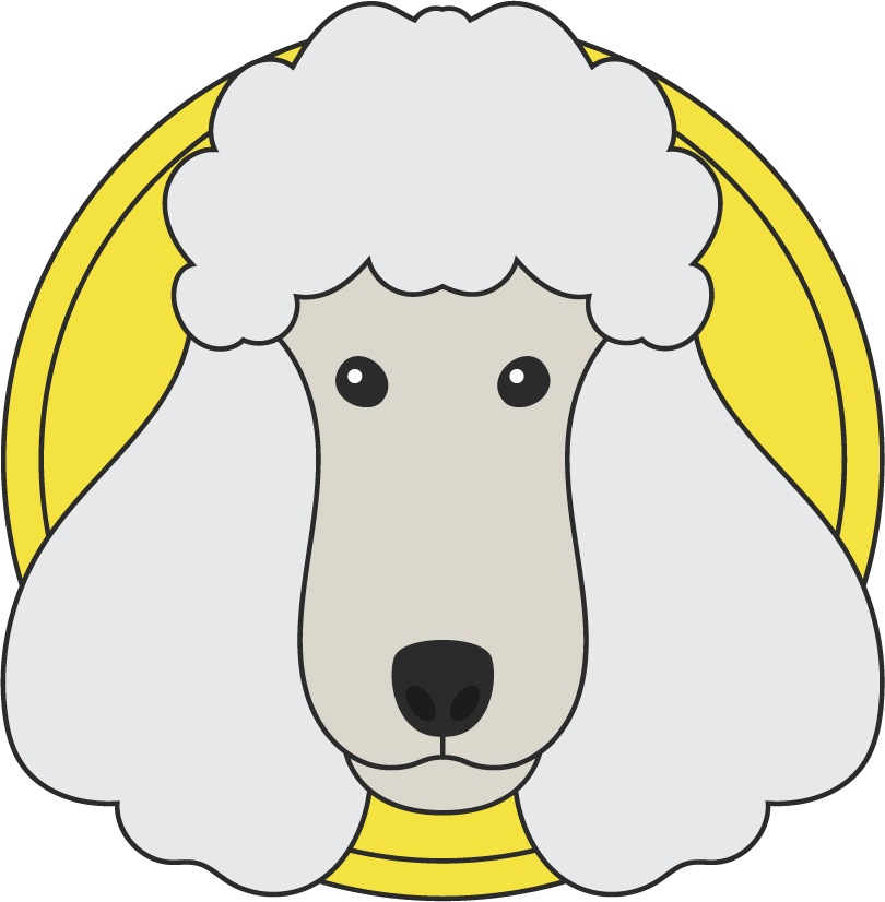 poodle dog cute draw beautiful illustration for pet lovers and animal enthusiasts