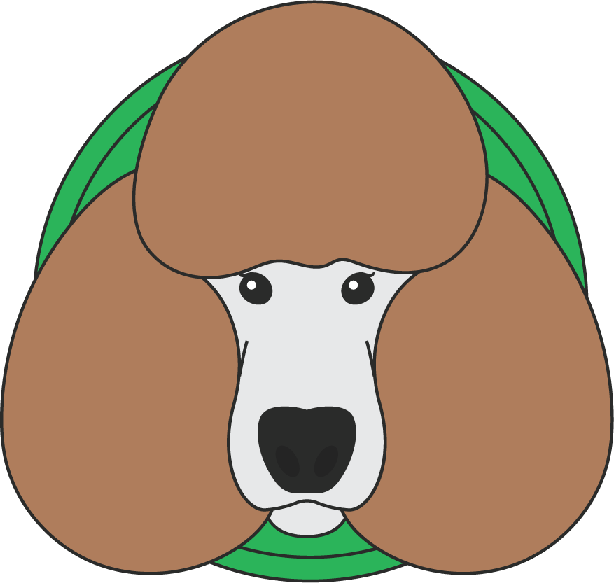 poodle dog cute draw beautiful cartoon style illustration with playful features