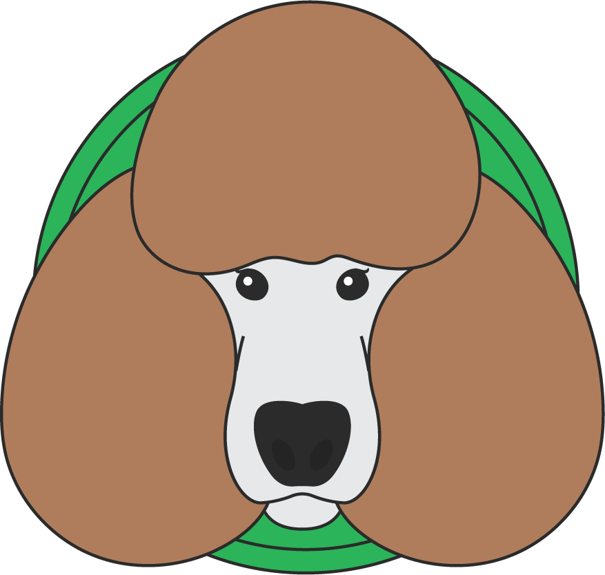 Poodle dog cute draw beautiful