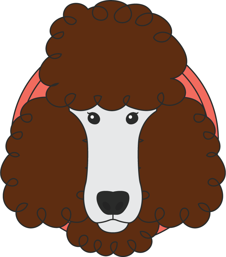 poodle dog cute draw beautiful illustration for pet lovers and home decor