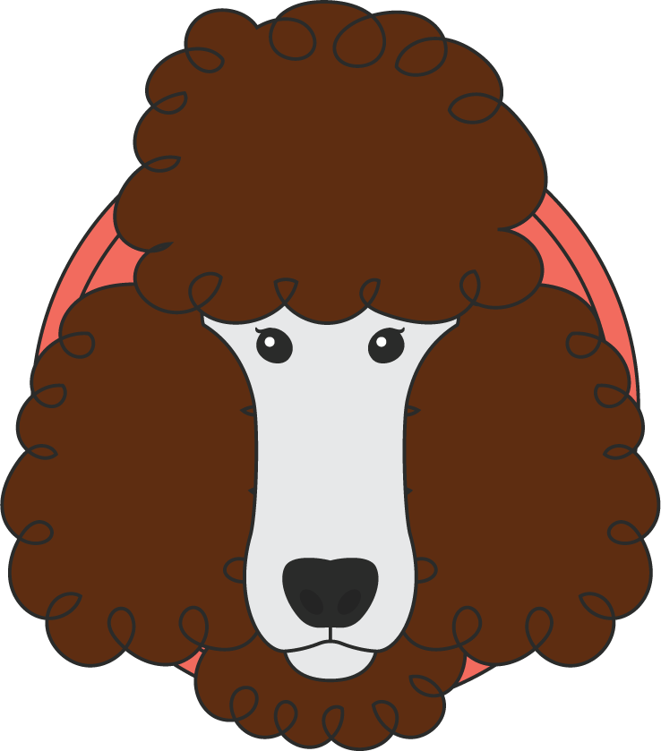 Poodle dog cute draw beautiful