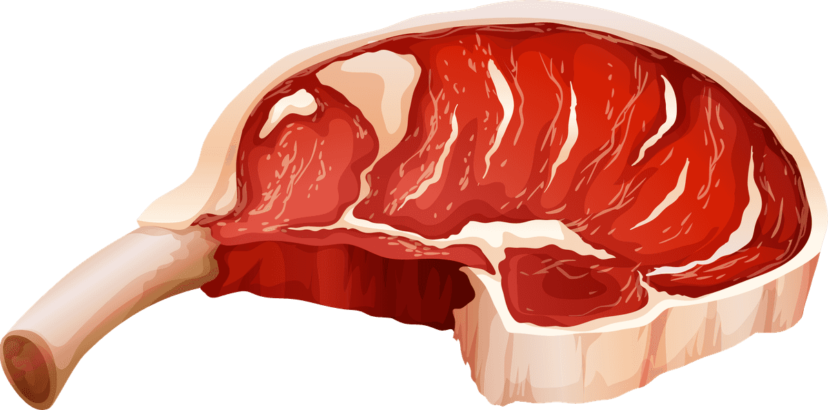 pork set different meat products for culinary creations and recipe inspirations