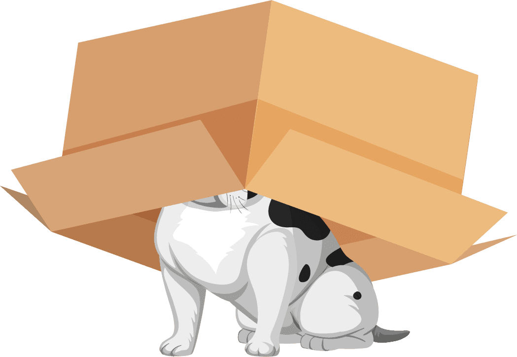 preposition wordcard with dog and box